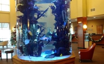Champion Aquariums
