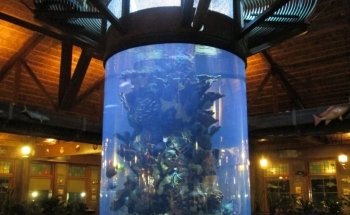 Champion Aquariums