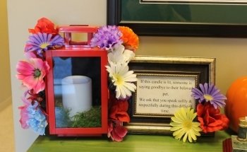 Community Critter Care