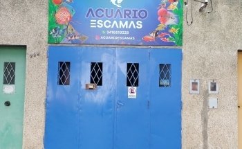 Scales Aquarium