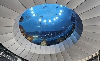 Seattle Aquarium Ocean Pavilion