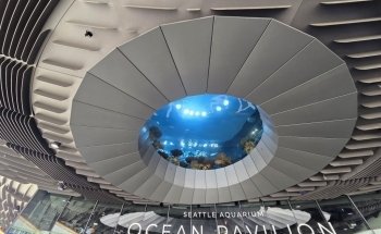 Seattle Aquarium Ocean Pavilion