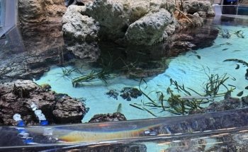 Seattle Aquarium Ocean Pavilion