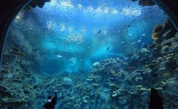 Seattle Aquarium Ocean Pavilion