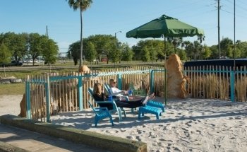 Shark Park NSB-Shark Capital of the World