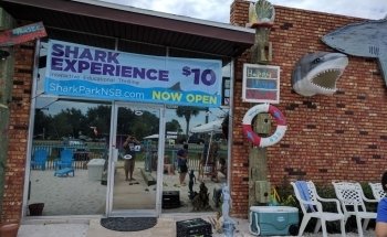 Shark Park NSB-Shark Capital of the World