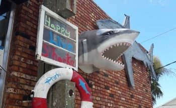 Shark Park NSB-Shark Capital of the World