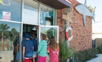 Shark Park NSB-Shark Capital of the World