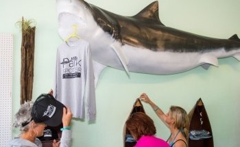Shark Park NSB-Shark Capital of the World
