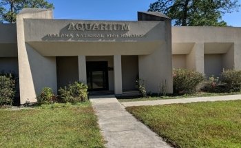 Hatchery Nacional de Peces de Welaka - Acuario