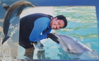 Dolphin Harbor