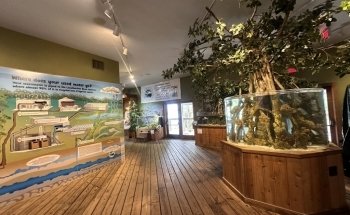The River Center