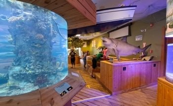 The River Center