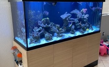 Elite Aquatic Concepts LLC