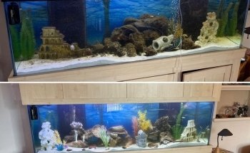 Elite Aquatic Concepts LLC