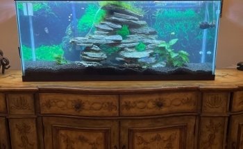 Elite Aquatic Concepts LLC