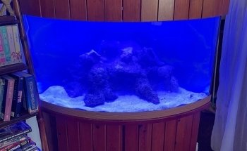 Elite Aquatic Concepts LLC