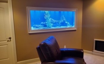 Aquarium Guy LLC