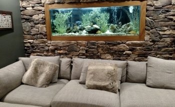 Aquarium Guy LLC