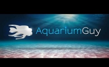 Aquarium Guy LLC