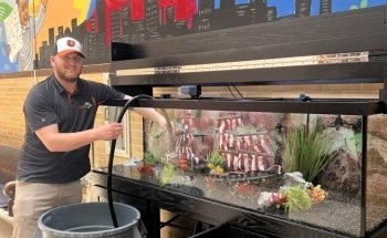 FantaSEA Aquariums | Aquarium Design, Installation, and Service