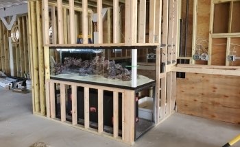 FantaSEA Aquariums | Aquarium Design, Installation, and Service
