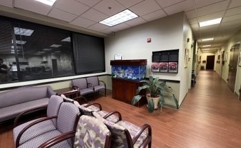 FantaSEA Aquariums | Aquarium Design, Installation, and Service