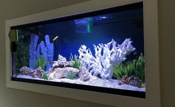 FantaSEA Aquariums | Aquarium Design, Installation, and Service