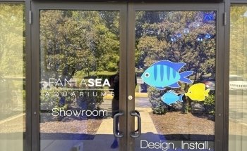 FantaSEA Acuarios | Diseño, Instalación y Servicio de Acuarios