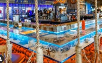 Suncoast Aquarium Inc