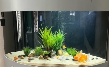 Suncoast Aquarium Inc