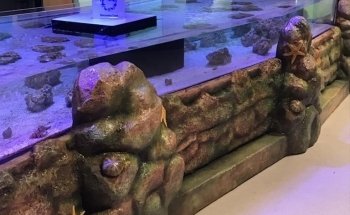 Suncoast Aquarium Inc