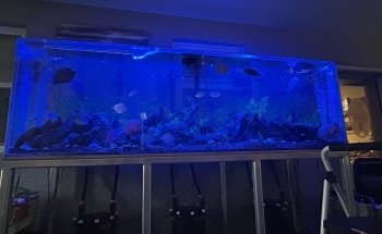 Suncoast Aquarium Inc
