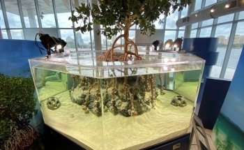 Suncoast Aquarium Inc