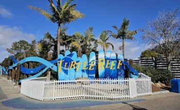 Turtle Reef