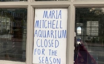 Maria Mitchell Aquarium & Sea Shop