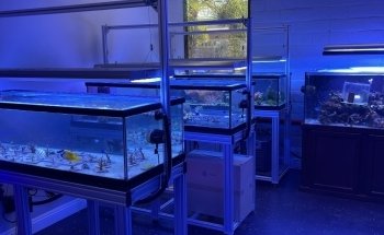Law Office Aquariums