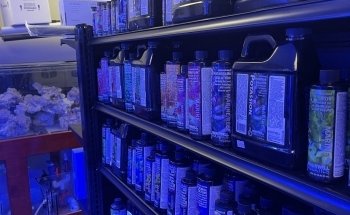 Law Office Aquariums