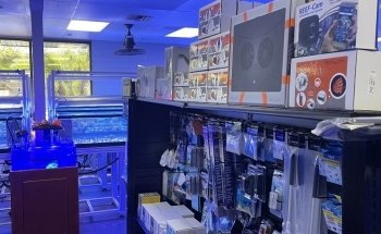 Law Office Aquariums