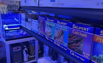 Law Office Aquariums