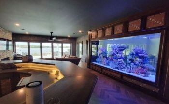 Aqua Creations I Custom Aquariums and Maintenance