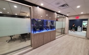 Aqua Creations I Custom Aquariums and Maintenance