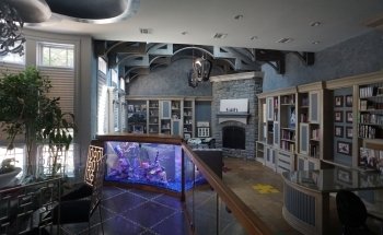Aqua Creations I Custom Aquariums and Maintenance