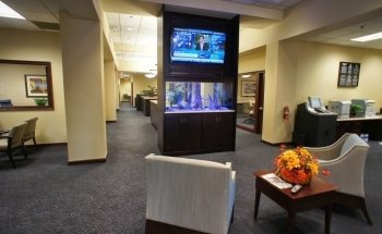 Aqua Creations I Custom Aquariums and Maintenance