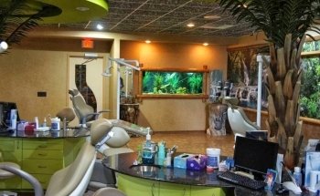 Aqua Creations I Custom Aquariums and Maintenance