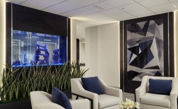 Aqua Creations I Custom Aquariums and Maintenance