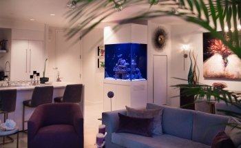 Aqua Creations I Custom Aquariums and Maintenance