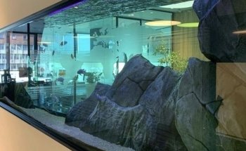 The Aquarist, LLC