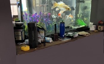 The Aquarist, LLC