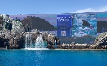 Shamu Stadium